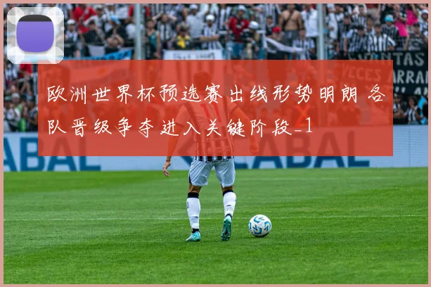 欧洲世界杯预选赛出线形势明朗 各队晋级争夺进入关键阶段_1