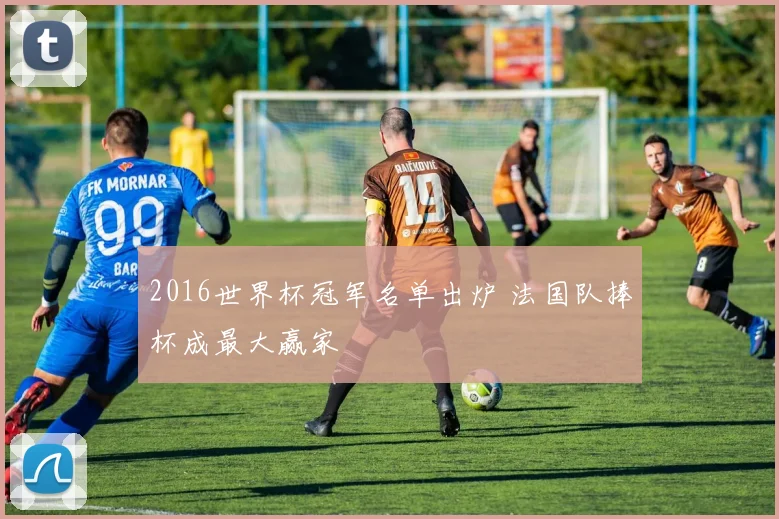 2016世界杯冠军名单出炉 法国队捧杯成最大赢家