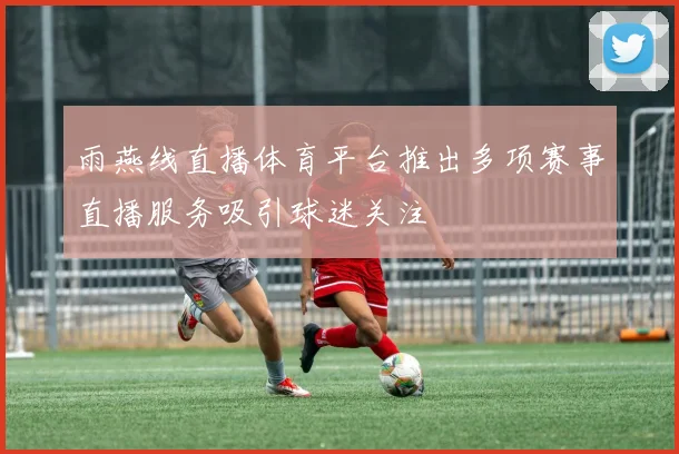 雨燕线直播体育平台推出多项赛事直播服务吸引球迷关注