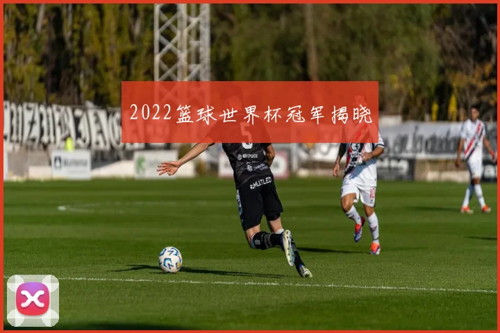 2022篮球世界杯冠军揭晓
