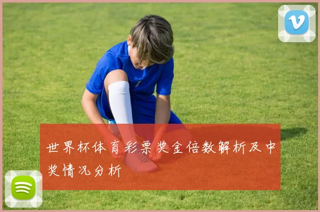 世界杯体育彩票奖金倍数解析及中奖情况分析