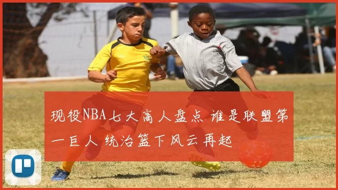 现役NBA七大高人盘点 谁是联盟第一巨人 统治篮下风云再起