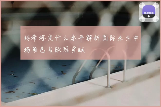 姆希塔良什么水平解析国际米兰中场角色与欧冠贡献
