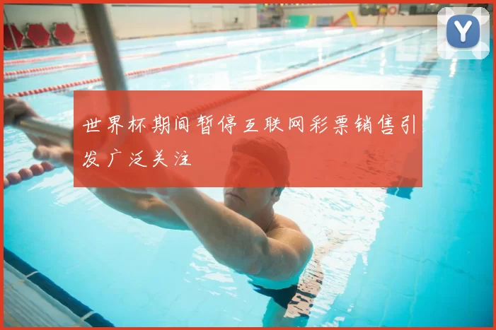 世界杯期间暂停互联网彩票销售引发广泛关注