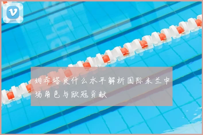 姆希塔良什么水平解析国际米兰中场角色与欧冠贡献
