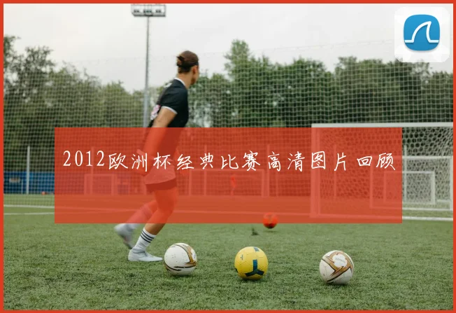 2012欧洲杯经典比赛高清图片回顾