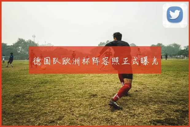 德国队欧洲杯阵容照正式曝光